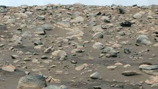 Campanha da Nasa irá enviar nomes de pessoas para Marte; veja como funciona