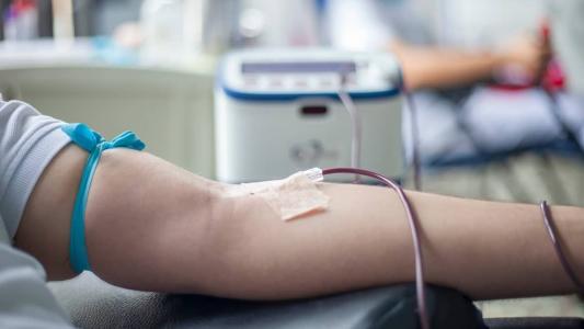 Campanha de doação de Sangue acontece em Setembro