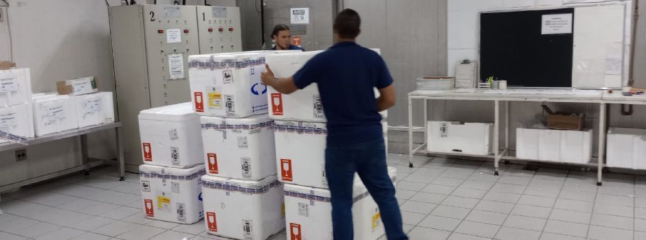 Campanha de vacinação contra gripe começa em abril em Minas; veja cronograma