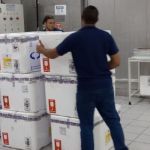 Campanha de vacinação contra gripe começa em abril em Minas; veja cronograma