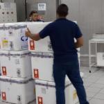 Campanha de vacinação contra gripe começa em abril em Minas; veja cronograma