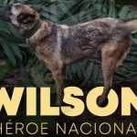 Exército reafirma buscas por cachorro Wilson na Amazônia: 'Operação Esperança'
