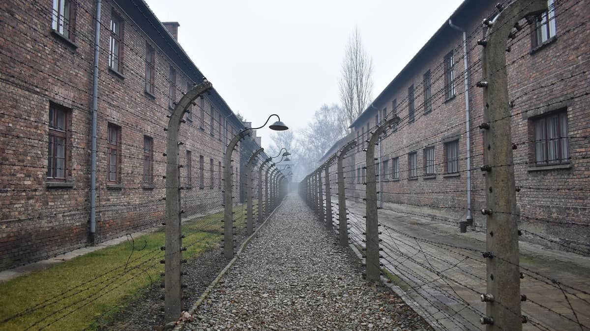 Museu de Auschwitz lança ferramenta contra negacionismo online