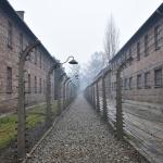 Museu de Auschwitz lança ferramenta contra negacionismo online