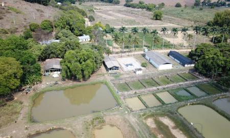 Campo Experimental de Leopoldina Divulgação Ascom EPAMIG