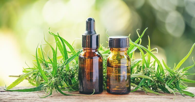 Anvisa apresenta proposta para regulamentar uso medicinal da cannabis