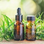 Governo pede mais tempo para regulamentar uso medicinal da cannabis