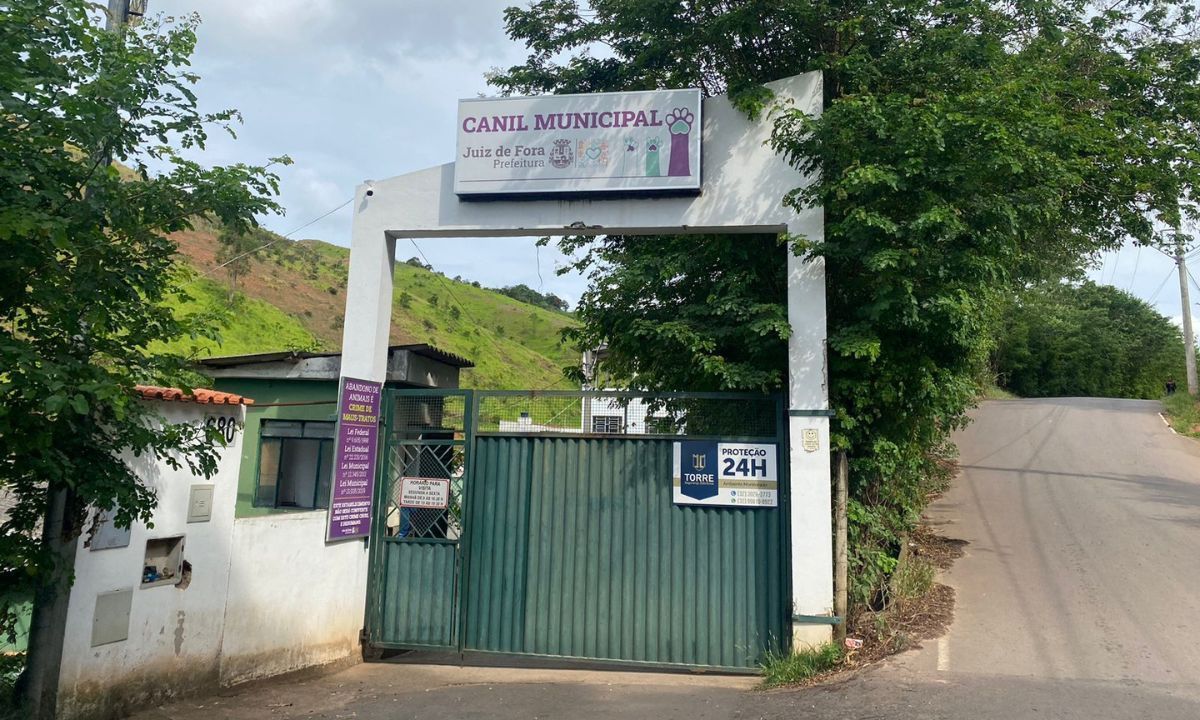 Canil Municipal de Juiz de Fora atinge mais de 100 animais adotados em 2025