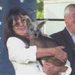 Cão de crista chinês vence concurso nos EUA como 'mais feio do mundo'