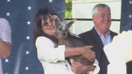Cão de crista chinês vence concurso nos EUA como "mais feio do mundo".