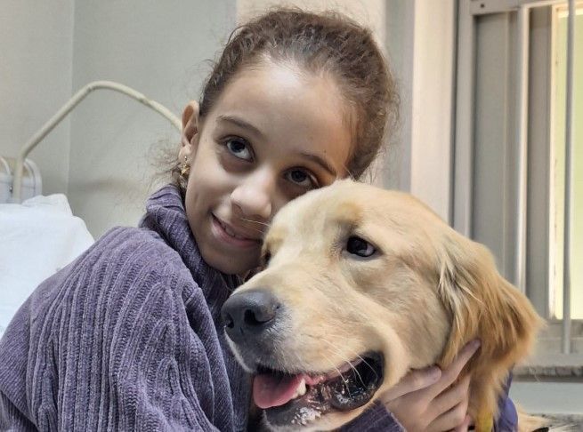 Cão coterapeuta visita ala infantil de hospital de BH e faz a alegria da criançada