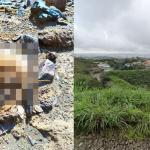 Crânio humano é encontrado em local de difícil acesso no Cidade Jardim Taquaril, em BH