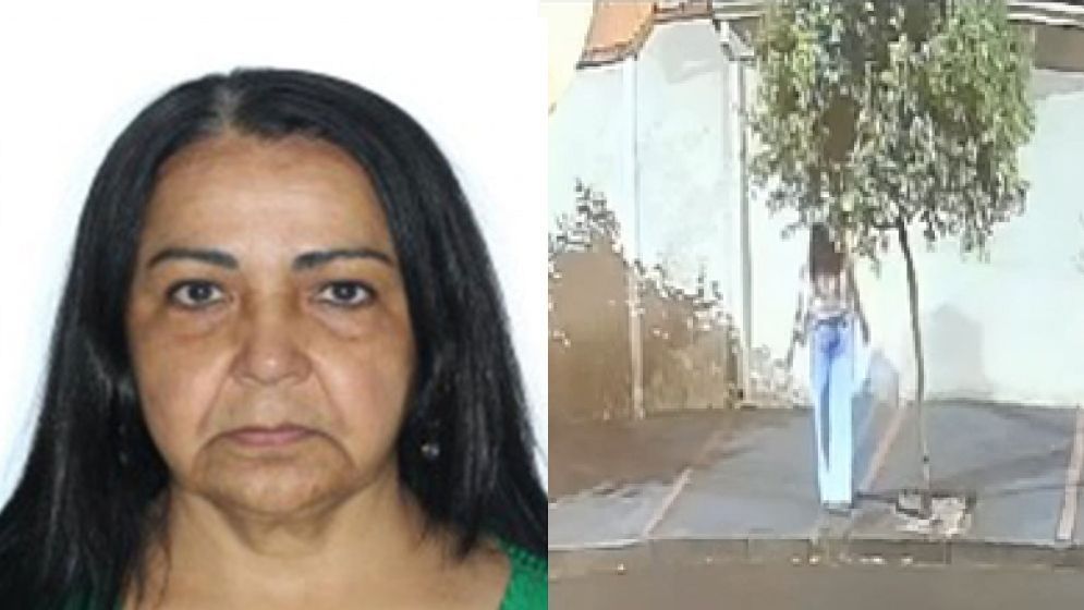 Mulher é presa suspeita de envenenar e matar 26 gatos em SP