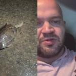 Vídeo: reportagem da Itatiaia resgata cágado perdido após alagamento na Av. Vilarinho, em BH