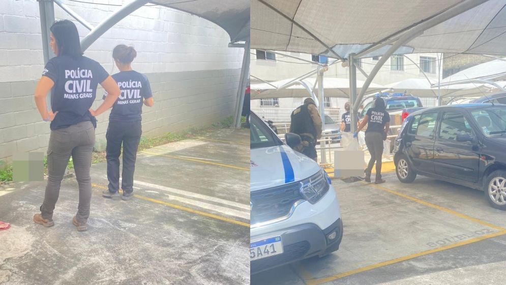 Moradores denunciam morte de gatos em condomínio em BH e suspeitam de envenenamento