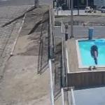 Motociclista não resiste ao calor e pula em piscina de loja no ES: 'Pensamentos intrusivos'