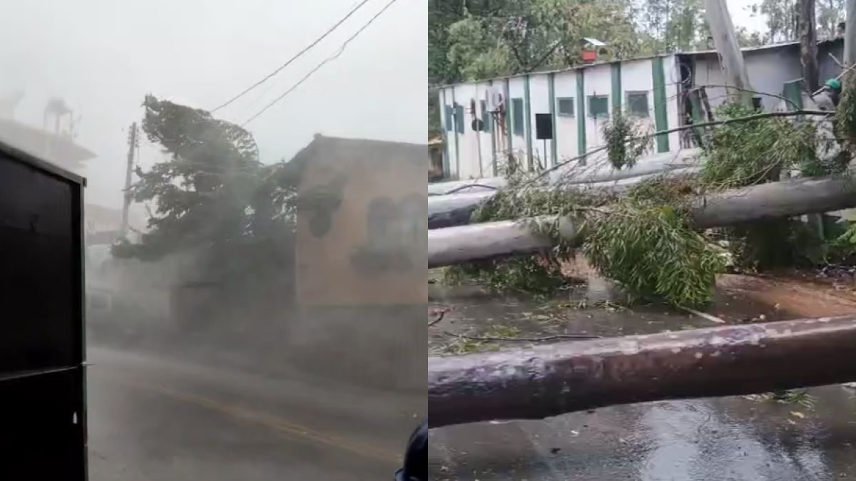 Temporal deixa rastro de destruição em Divinópolis (MG); veja imagens