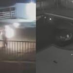 Polícia prende vaqueiro que ateou fogo na mulher em Minas; vítima pulou na piscina para se salvar