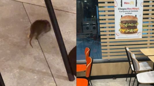 Vídeo: rato é flagrado comendo batata frita no McDonald's do Buritis, em BH