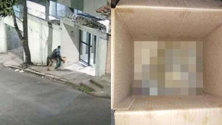 Vídeo: cão morre após ser abandonado ferido dentro de caixa de papelão em rua de BH