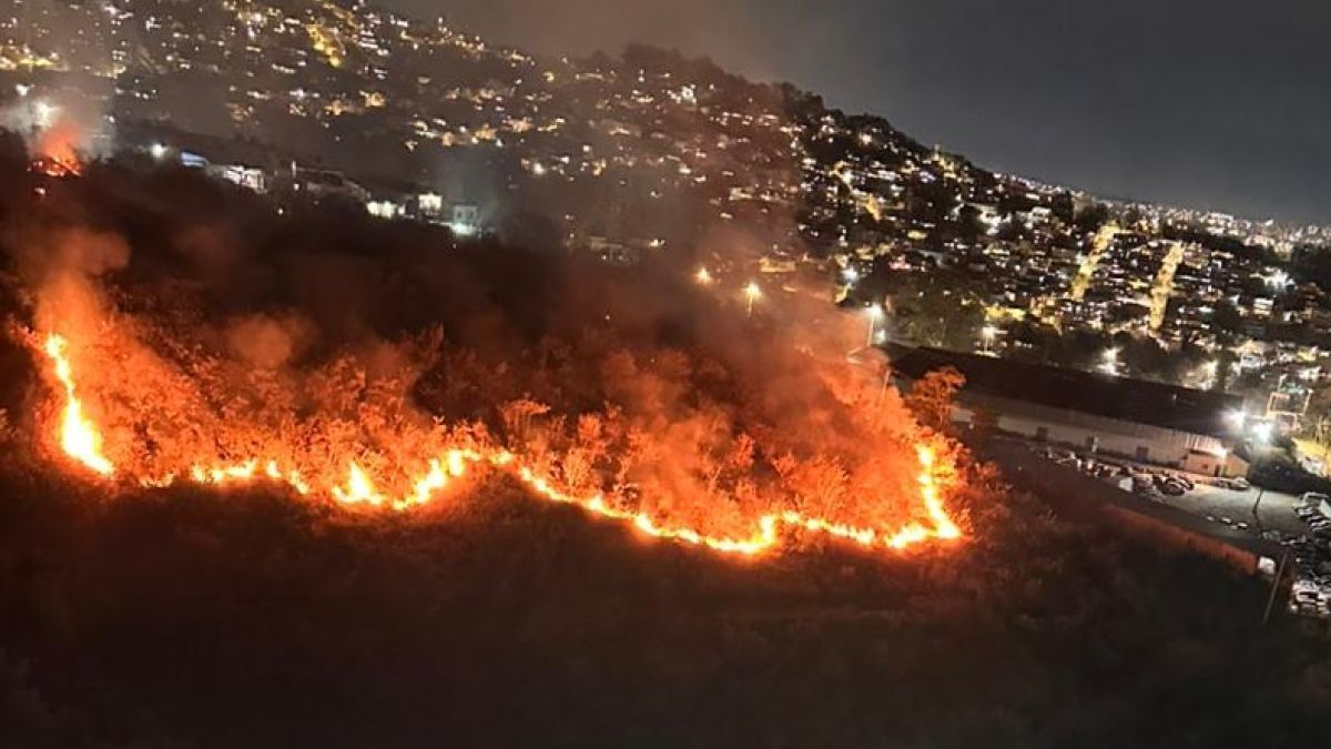 Vídeo: incêndio em área de vegetação assusta moradores de prédio em Belo Horizonte