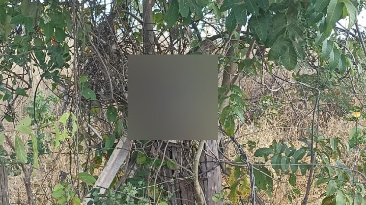 'Autor fazia um cigarro', diz PM ao chegar à casa de suspeito de decapitar homem em Ponto Chique, em Minas Gerais