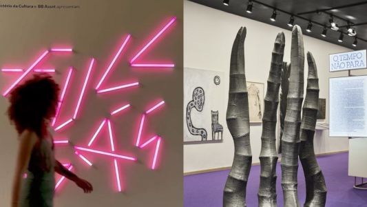 Saiba como é a exposição do CCBB que vereadores querem interromper em BH