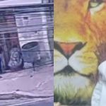 Suspeito de matar e enterrar idosa segue internado em estado grave em Contagem