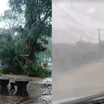 Vídeo: tempestade deixa feridos, alaga ruas e derruba árvores em Divinópolis