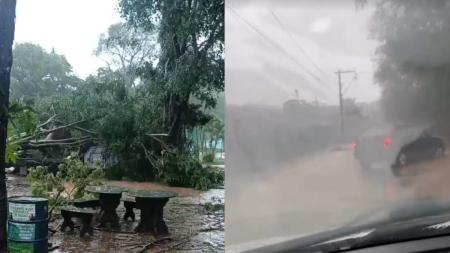 Temporal em Divinópolis deixa feridos e provoca alagamentos e quedas de árvores