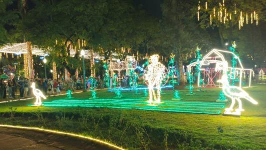 Veja imagens da Praça da Liberdade, em BH, iluminada para o Natal de 2025