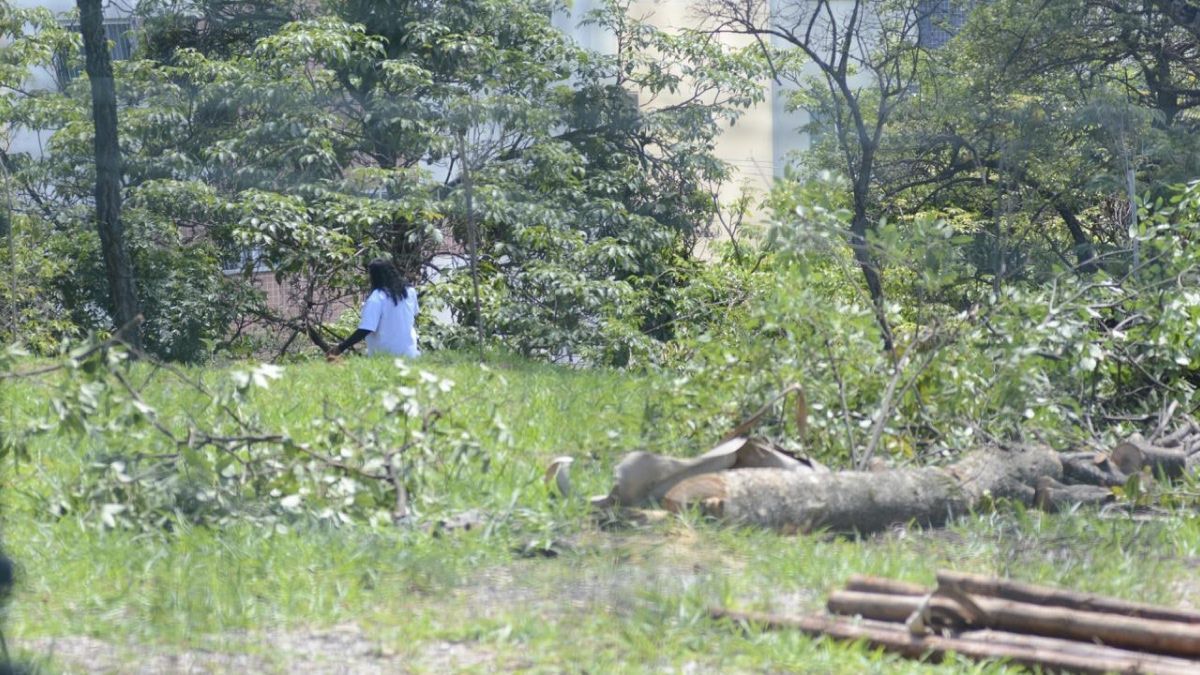 Justiça autoriza retomada das obras de moradias populares no Castelo, em BH