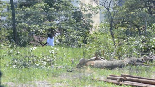 Justiça derruba decisão que suspendeu obras de moradias populares no Castelo, em BH