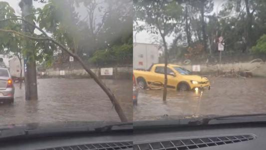 Vídeo: motoristas se arriscam e passam pela calçada para fugir de rua alagada em BH