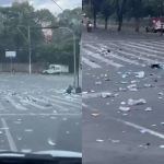 Vídeo: foliões do Bloco Marinada, em BH, deixam grande quantidade de lixo no Mineirão