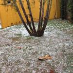 Vídeo: moradores filmam forte chuva de granizo em Luz, no interior de MG, nesta sexta