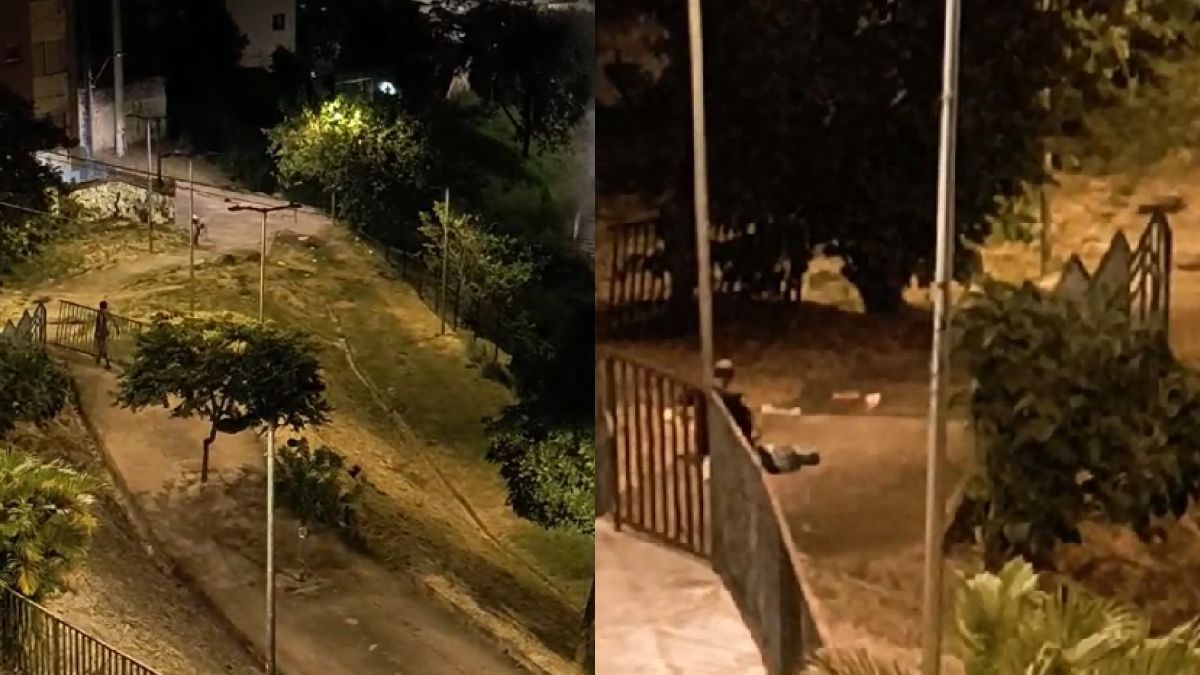 Vídeo: síndico de prédio flagra homem furtando grade de proteção de praça pública em BH