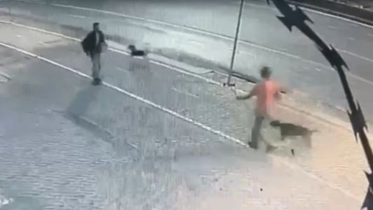 Vídeo mostra briga entre moradores de rua que terminou com um morto a pauladas em BH