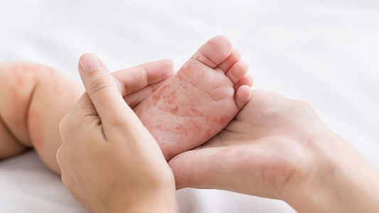 capa materias (10).png