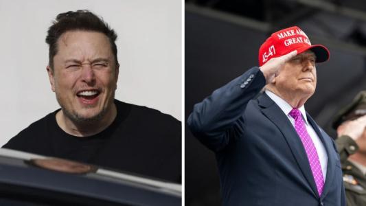 ELON MUSK DONALD TRUMP