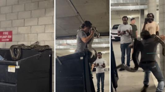 Influenciador resgatou cobra sozinho nos EUA