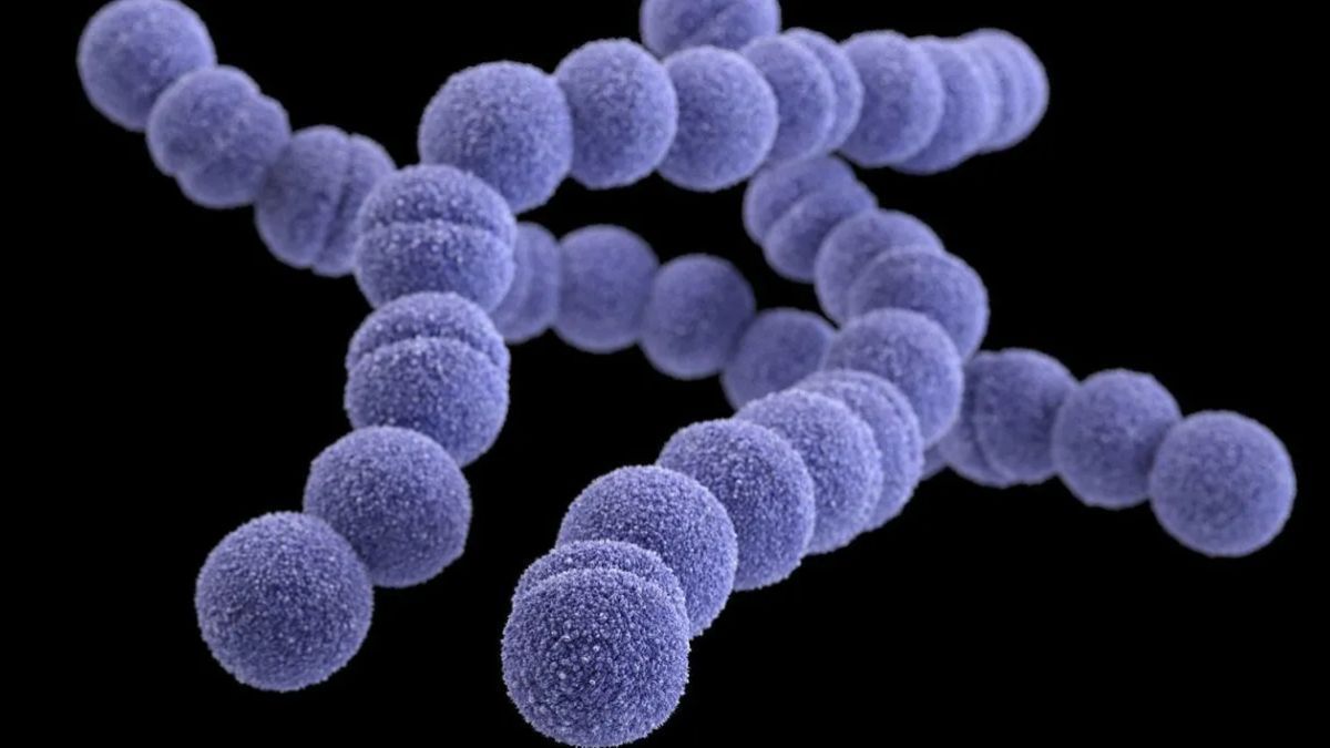 Japão registra quase 170 casos por mês de infecção bacteriana rara e letal em 2024