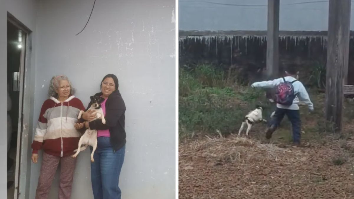 Criança venezuelana que morreu em avião que caiu em Vinhedo estava com a mãe e com a avó