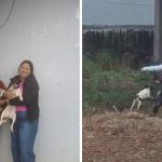 Criança venezuelana que morreu em avião que caiu em Vinhedo estava com a mãe e com a avó