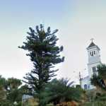 Cidade do Vale do Jequitinhonha (MG) entra na lista de cidades mais frias do Brasil; confira