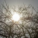 Onda de calor: termômetros passam de 36 °C e BH bate recorde para novembro