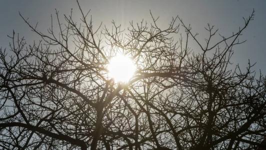 Capital registrou maior temperatura para o mês de novembro