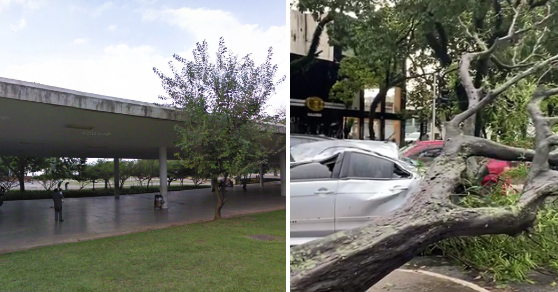 Chuva forte: estrutura de marquise cai e fere quatro pessoas no Parque Ibirapuera em SP