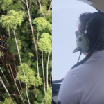 Relatório inicial do Cenipa diz que helicóptero que caiu em SP bateu na vegetação