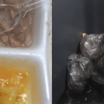 Filha de paciente denuncia larvas em comida e ratos na Upa Pampulha, em BH